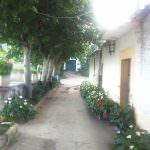 Vinhas – Fantástica Quinta em frente ao rio Douro – Exclusivo!