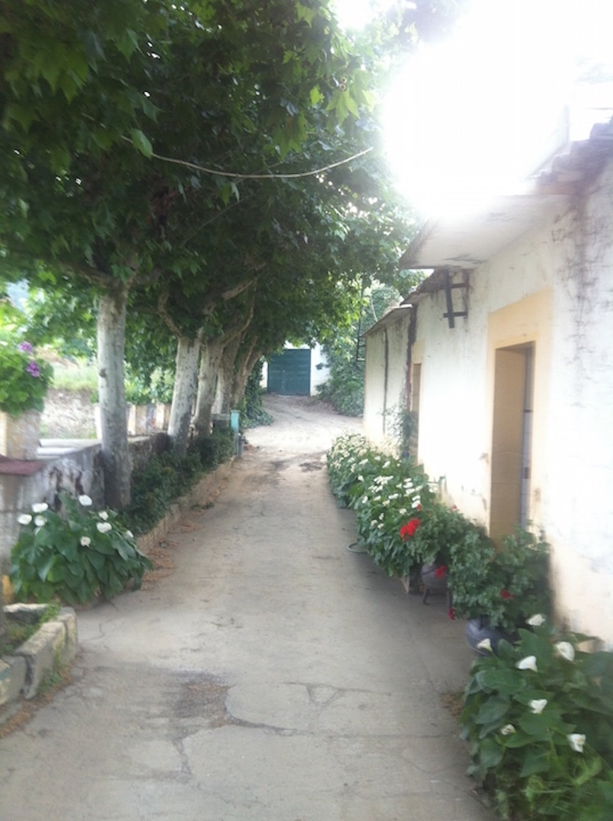 Vinhas – Fantástica Quinta em frente ao rio Douro – Exclusivo!