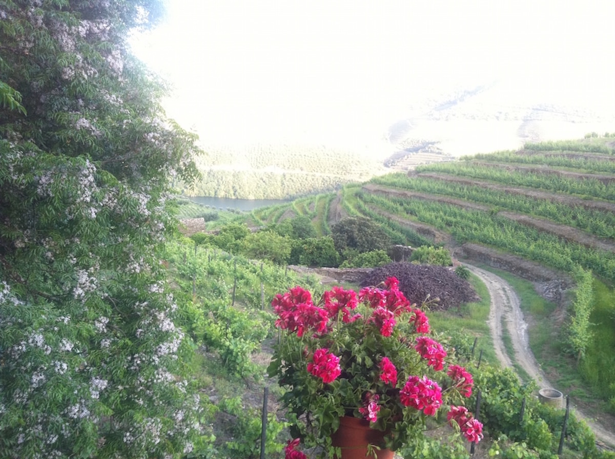 Vinhas – Fantástica Quinta em frente ao rio Douro – Exclusivo!