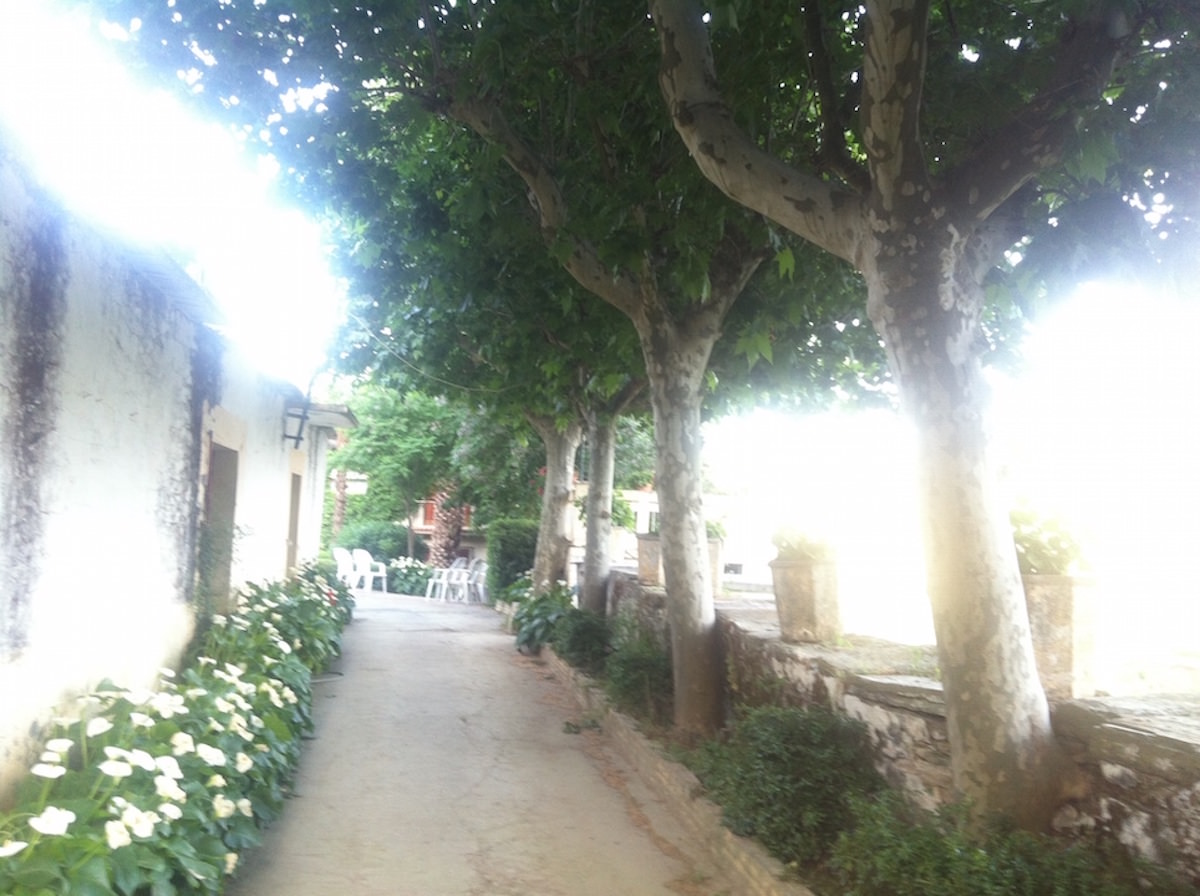 Vinhas – Fantástica Quinta em frente ao rio Douro – Exclusivo!