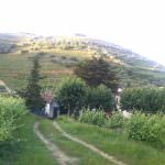 Vinhas – Fantástica Quinta em frente ao rio Douro – Exclusivo!