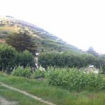 Vinhas – Fantástica Quinta em frente ao rio Douro – Exclusivo!