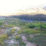 Vinhas – Fantástica Quinta em frente ao rio Douro – Exclusivo!