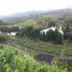 Vinhas – Fantástica Quinta em frente ao rio Douro – Exclusivo!