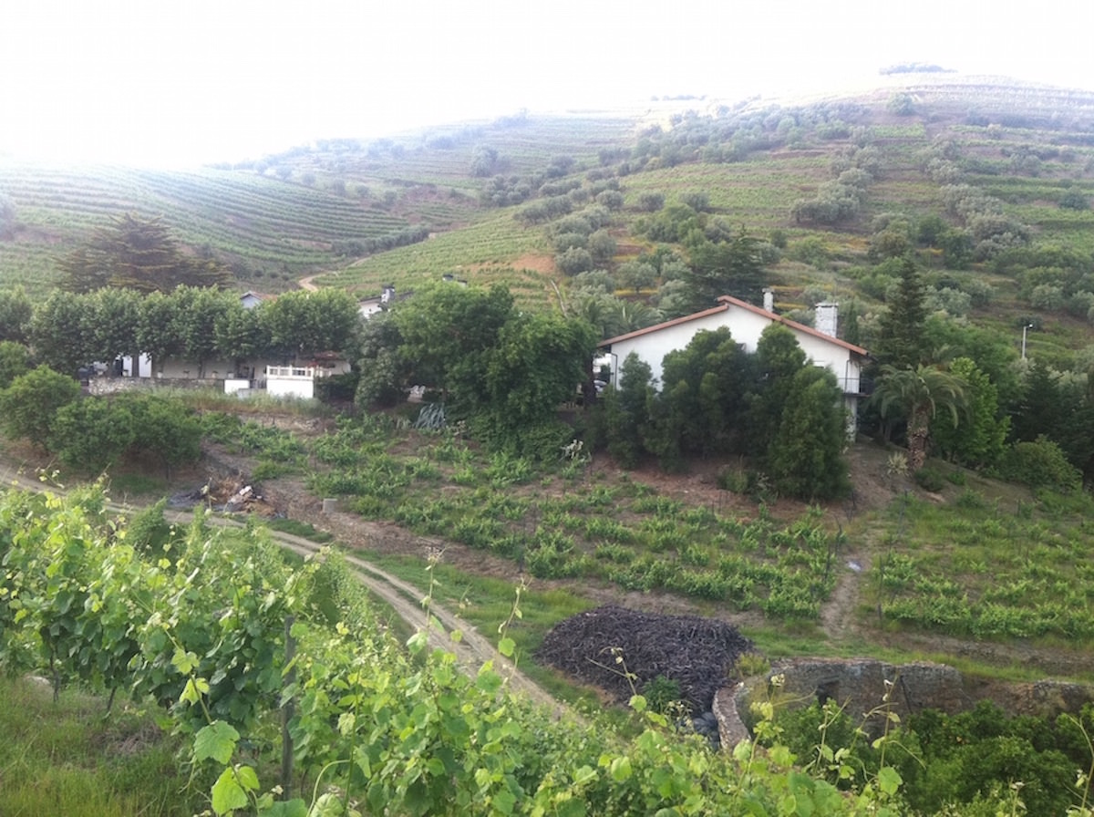 Vinhas – Fantástica Quinta em frente ao rio Douro – Exclusivo!