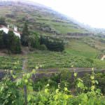 Vinhas – Fantástica Quinta em frente ao rio Douro – Exclusivo!