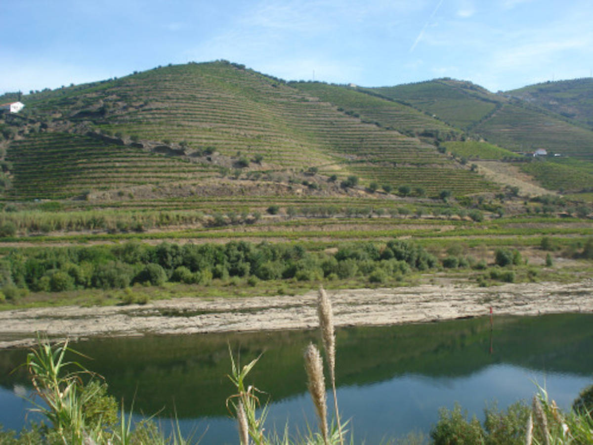 Douro Ferme – Production de vin de Porto