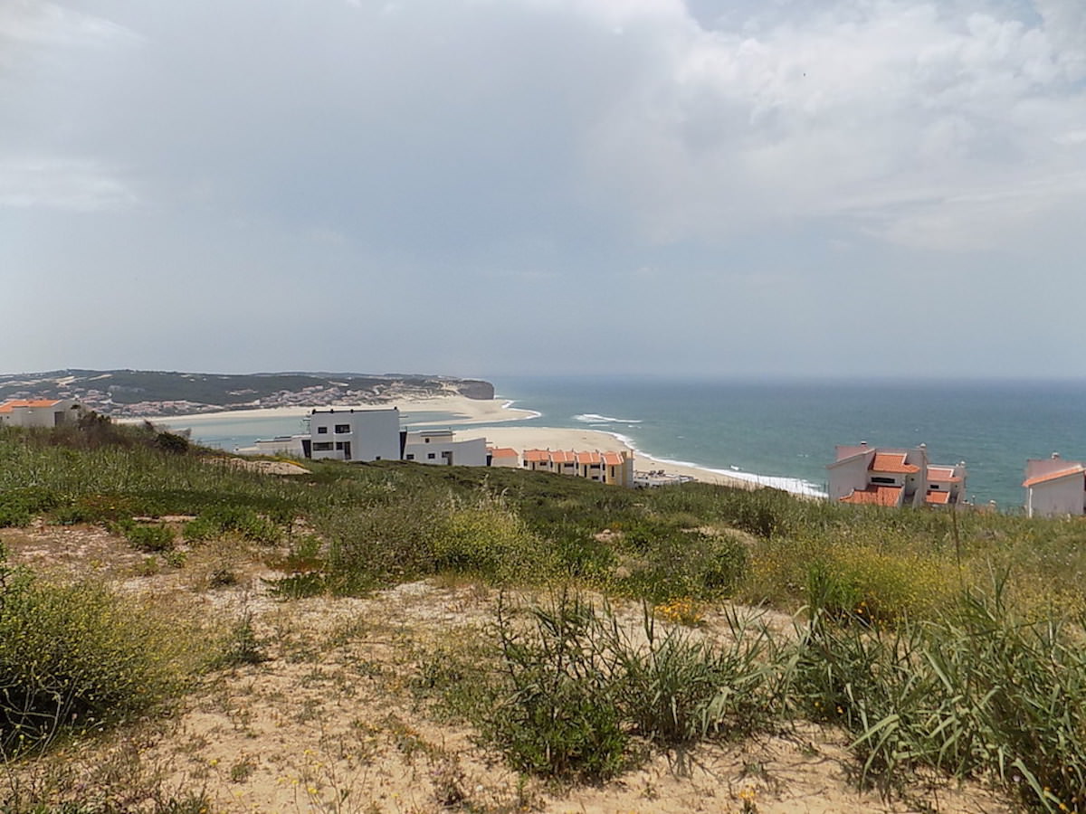 Unique plots for sale in Foz do Arelho with unspoiled ocean views