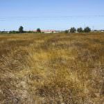 Terreno com 35.839 m2 no Pinhal Novo ideal para Turismo