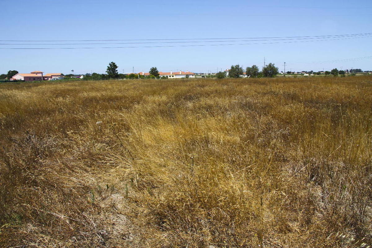 Terreno com 35.839 m2 no Pinhal Novo ideal para Turismo