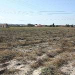 Terreno com 35.839 m2 no Pinhal Novo ideal para Turismo