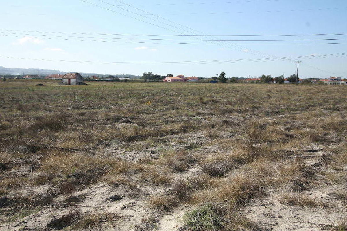 Terreno com 35.839 m2 no Pinhal Novo ideal para Turismo