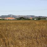 Terreno com 35.839 m2 no Pinhal Novo ideal para Turismo