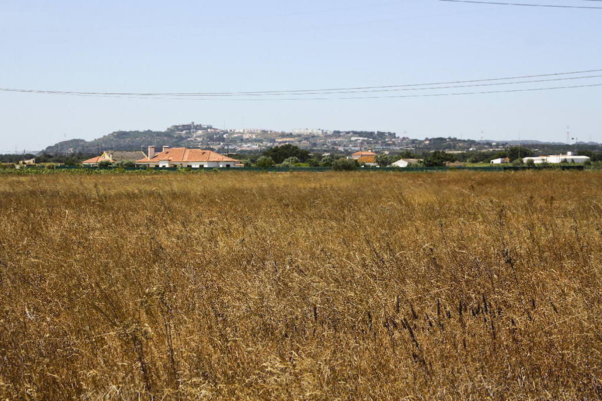 Terreno com 35.839 m2 no Pinhal Novo ideal para Turismo