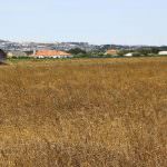 Terreno com 35.839 m2 no Pinhal Novo ideal para Turismo