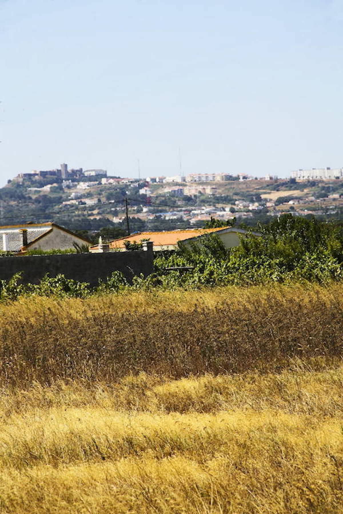 Terreno com 35.839 m2 no Pinhal Novo ideal para Turismo