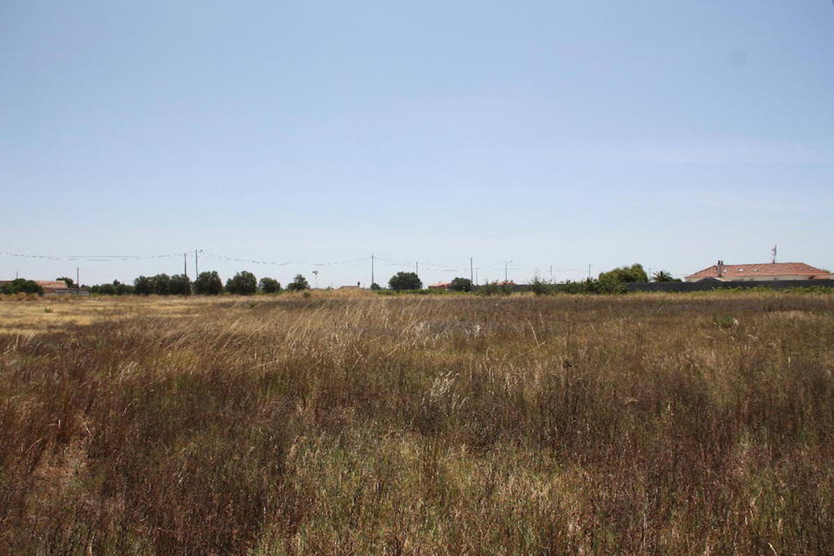 Terreno com 35.839 m2 no Pinhal Novo ideal para Turismo