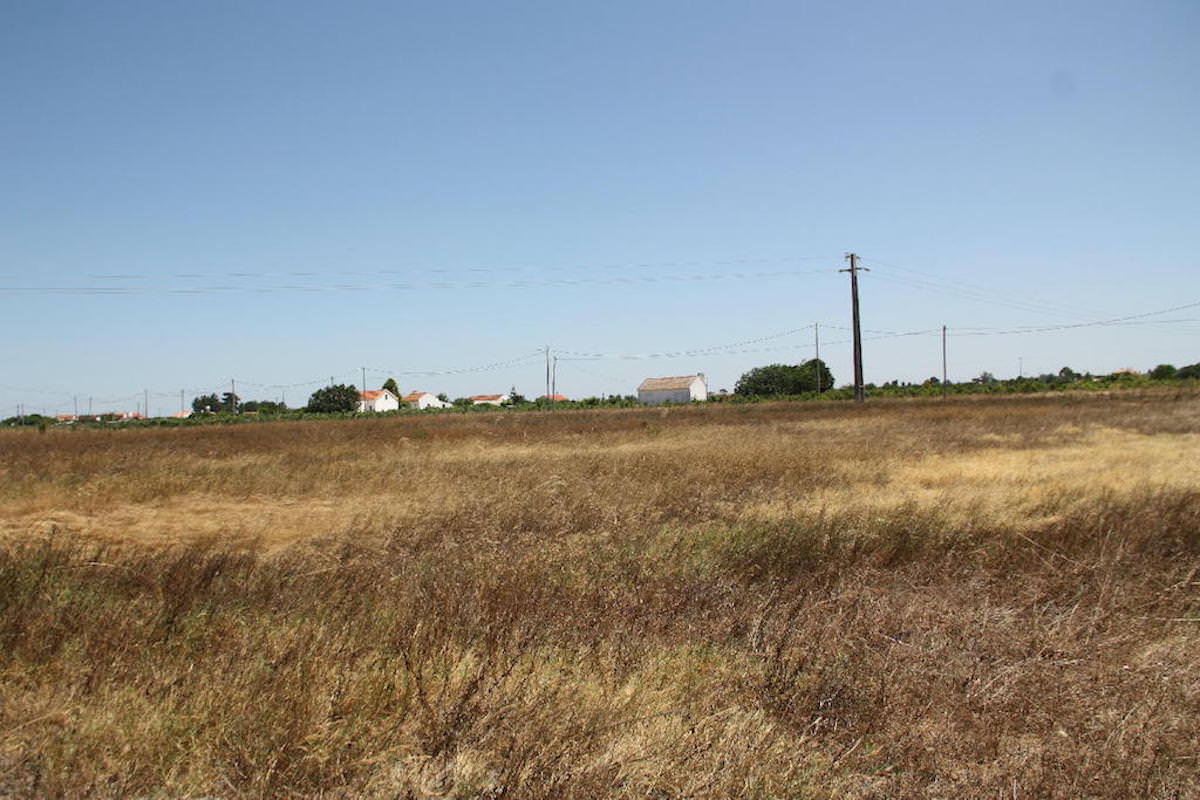 Terreno com 35.839 m2 no Pinhal Novo ideal para Turismo