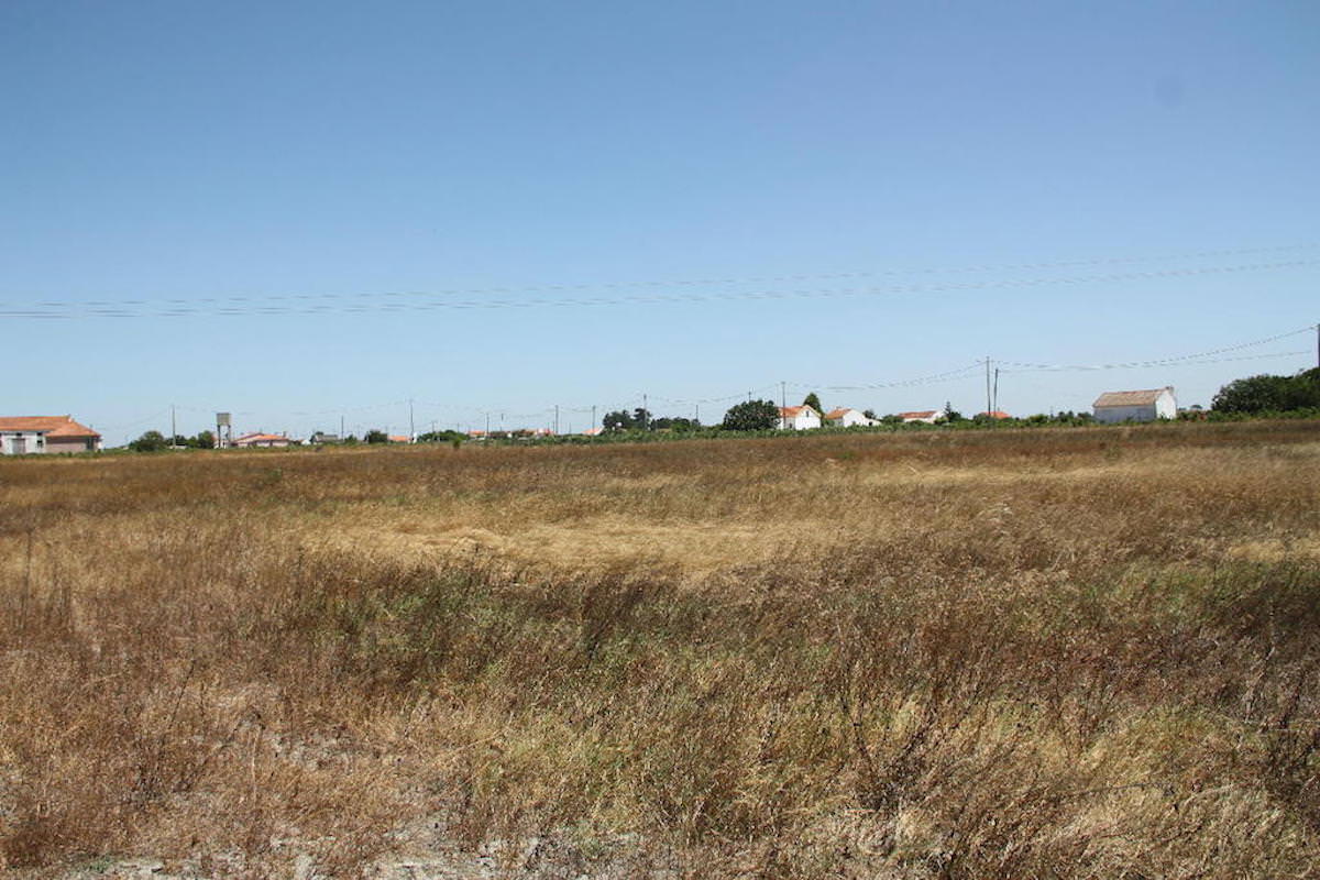 Terreno com 35.839 m2 no Pinhal Novo ideal para Turismo