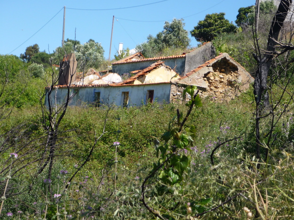 Terreno para construção em pleno Parque Natural da Arrábida