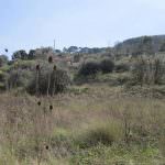 Terreno para construção em pleno Parque Natural da Arrábida