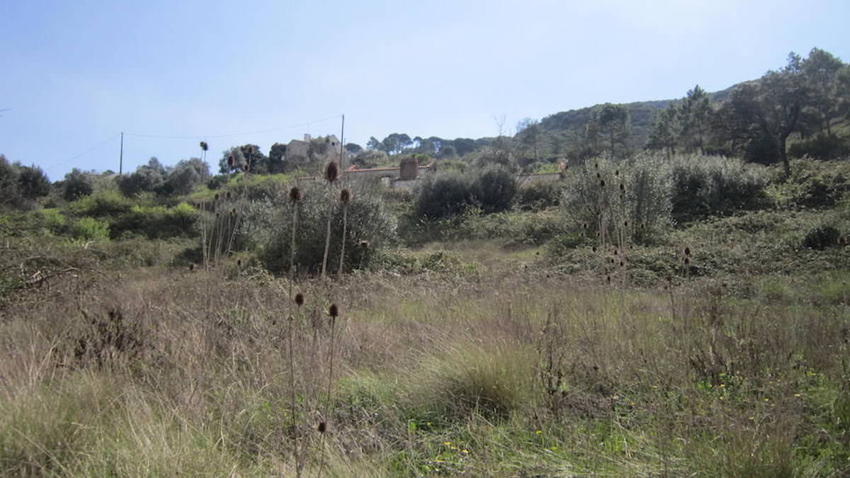 Terreno para construção em pleno Parque Natural da Arrábida