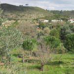 Terreno para construção em pleno Parque Natural da Arrábida