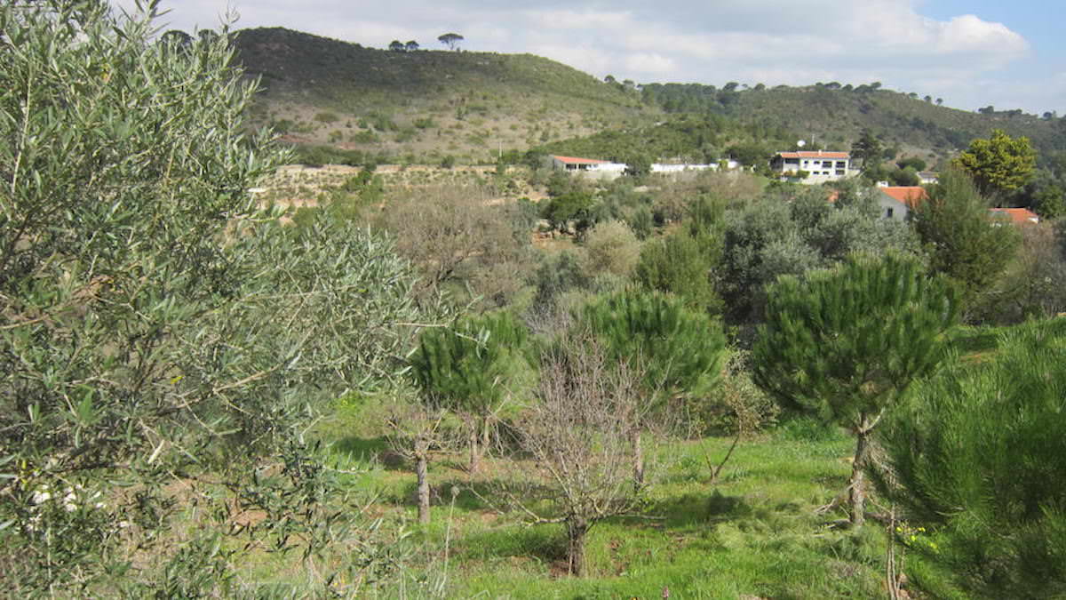 Terreno para construção em pleno Parque Natural da Arrábida