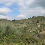 Terreno para construção em pleno Parque Natural da Arrábida
