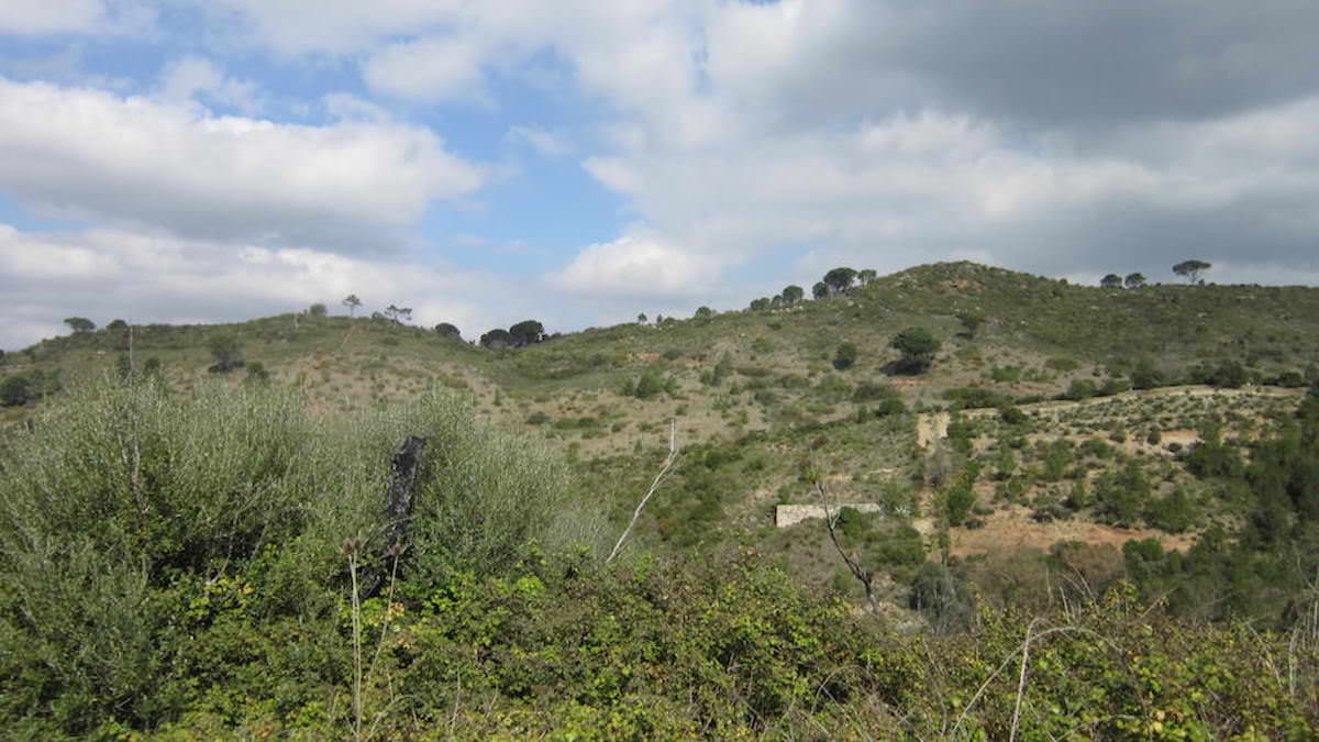 Terreno para construção em pleno Parque Natural da Arrábida