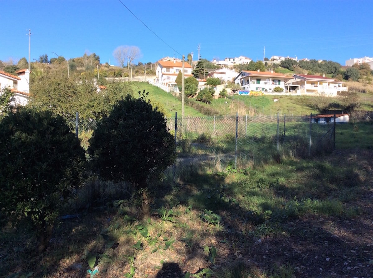 Terreno para venda nos arredores de Alcobaça
