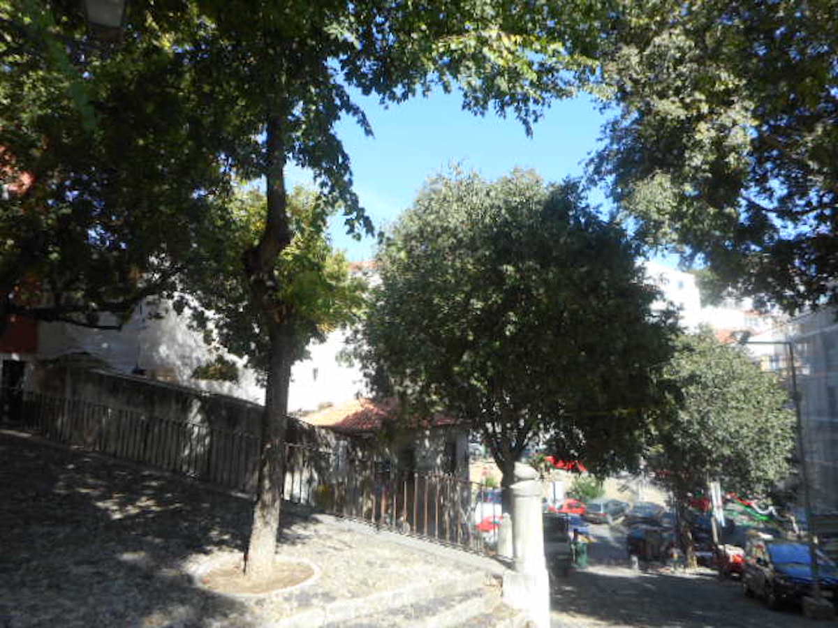 Apartments in the heart of Alfama Lisbon for sale