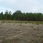 Plot for development near Foz do Arelho beach
