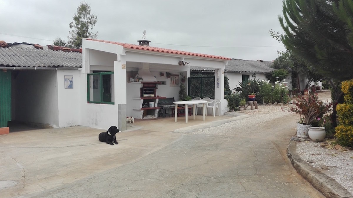 Farm style property in Alcobaca for sale