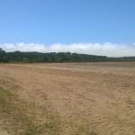 Farm with excellent location for sale in Portugal