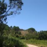 Quinta de 4 hectares zona privilegiada Óbidos