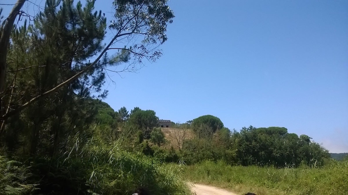 Quinta de 4 hectares zona privilegiada Óbidos