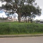 Terreno para venda Aldeia do Meco Sesimbra
