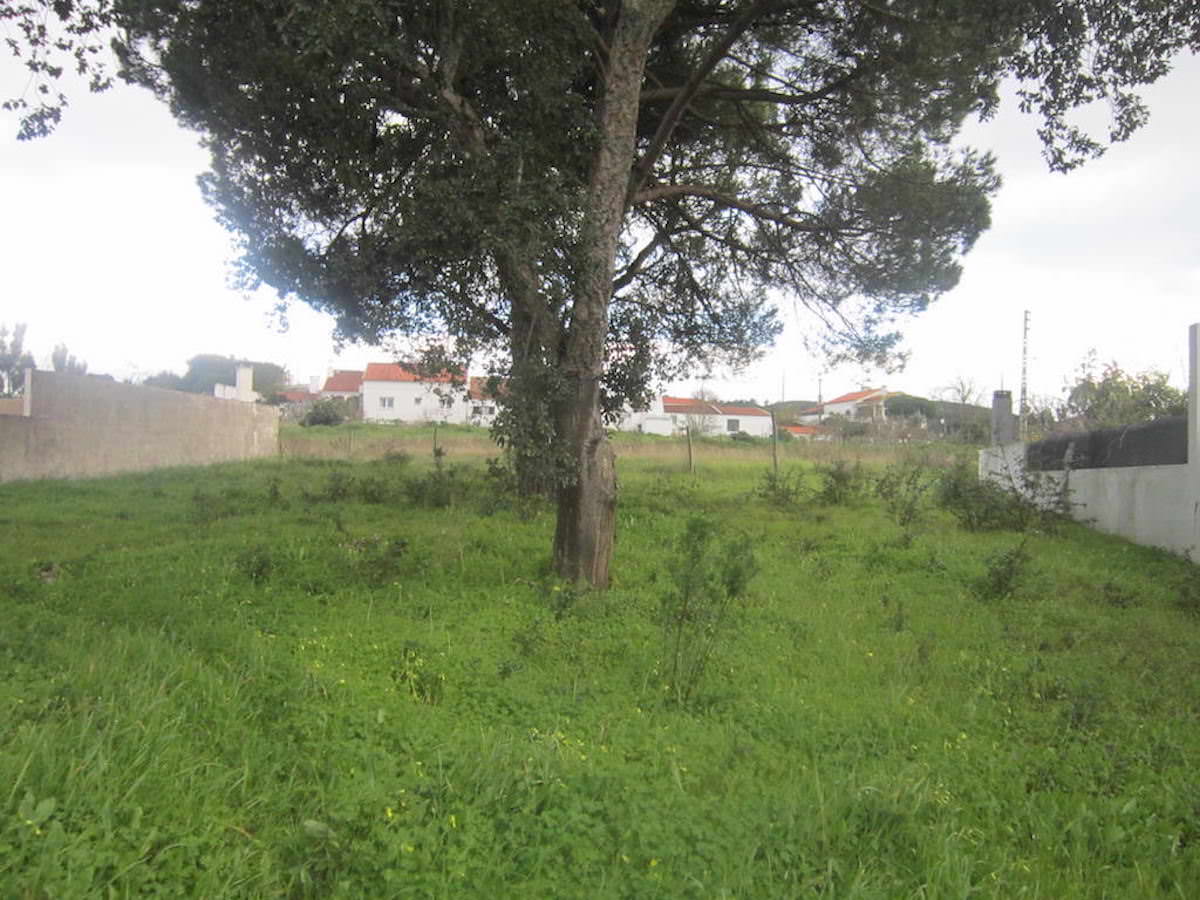 Terreno para venda Aldeia do Meco Sesimbra