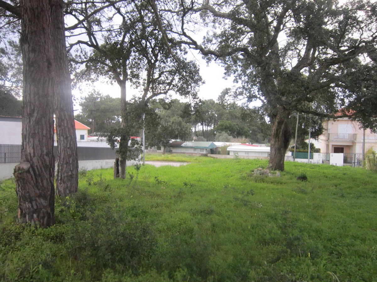 Terreno para venda Aldeia do Meco Sesimbra