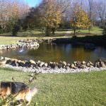 Mansão estilo Quinta muito perto da Vila de  Óbidos