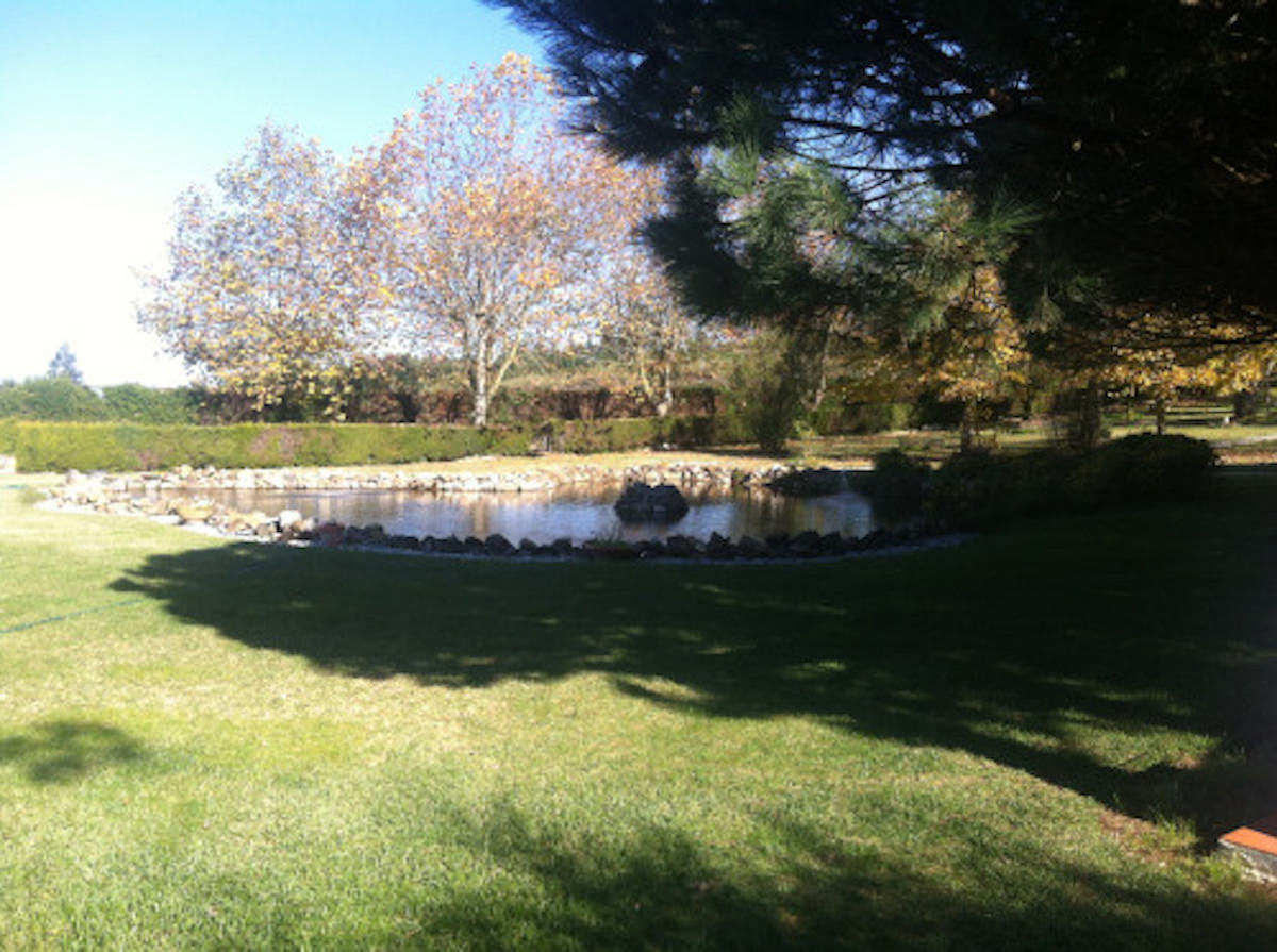 Mansão estilo Quinta muito perto da Vila de  Óbidos