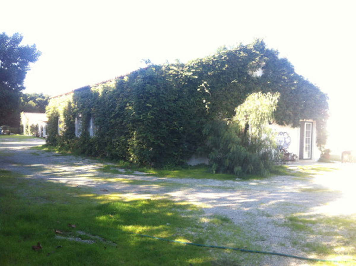 Mansão estilo Quinta muito perto da Vila de  Óbidos