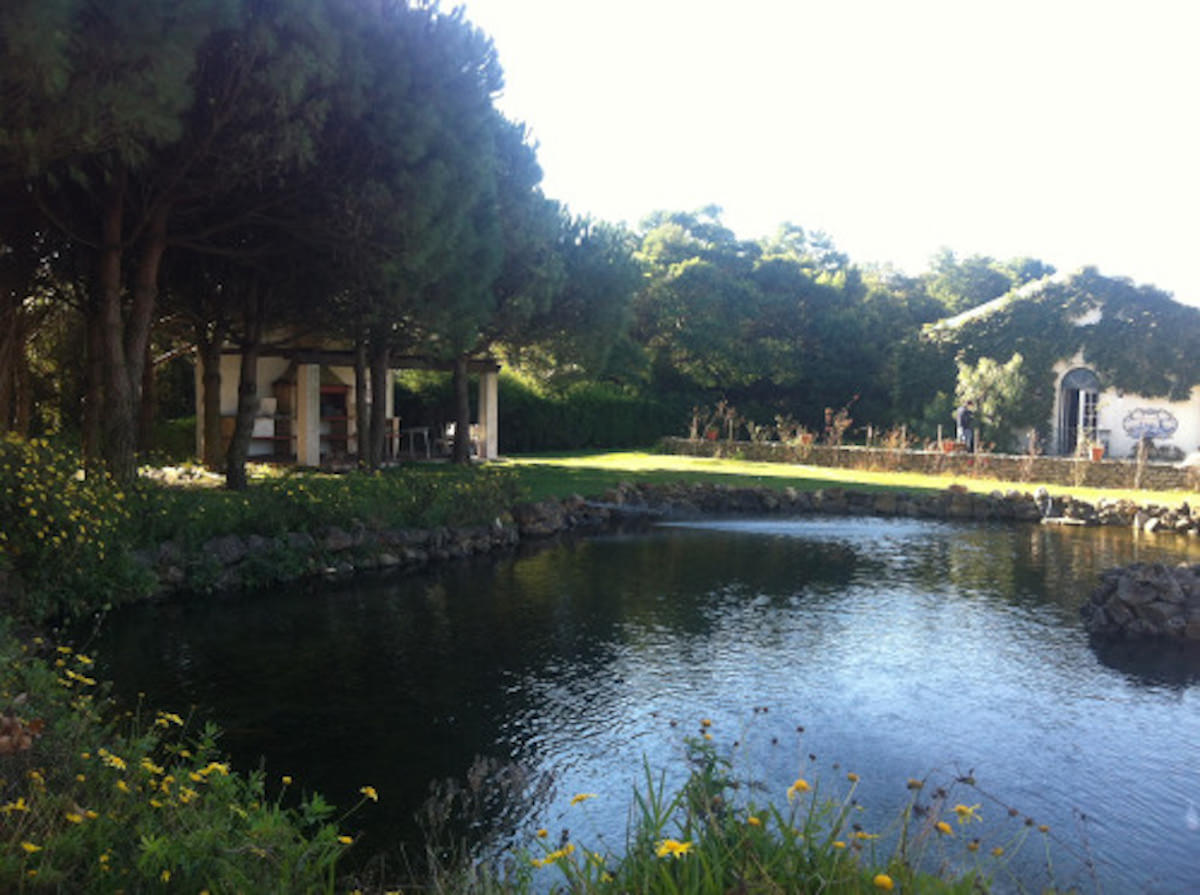 Mansão estilo Quinta muito perto da Vila de  Óbidos