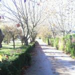 Mansão estilo Quinta muito perto da Vila de  Óbidos