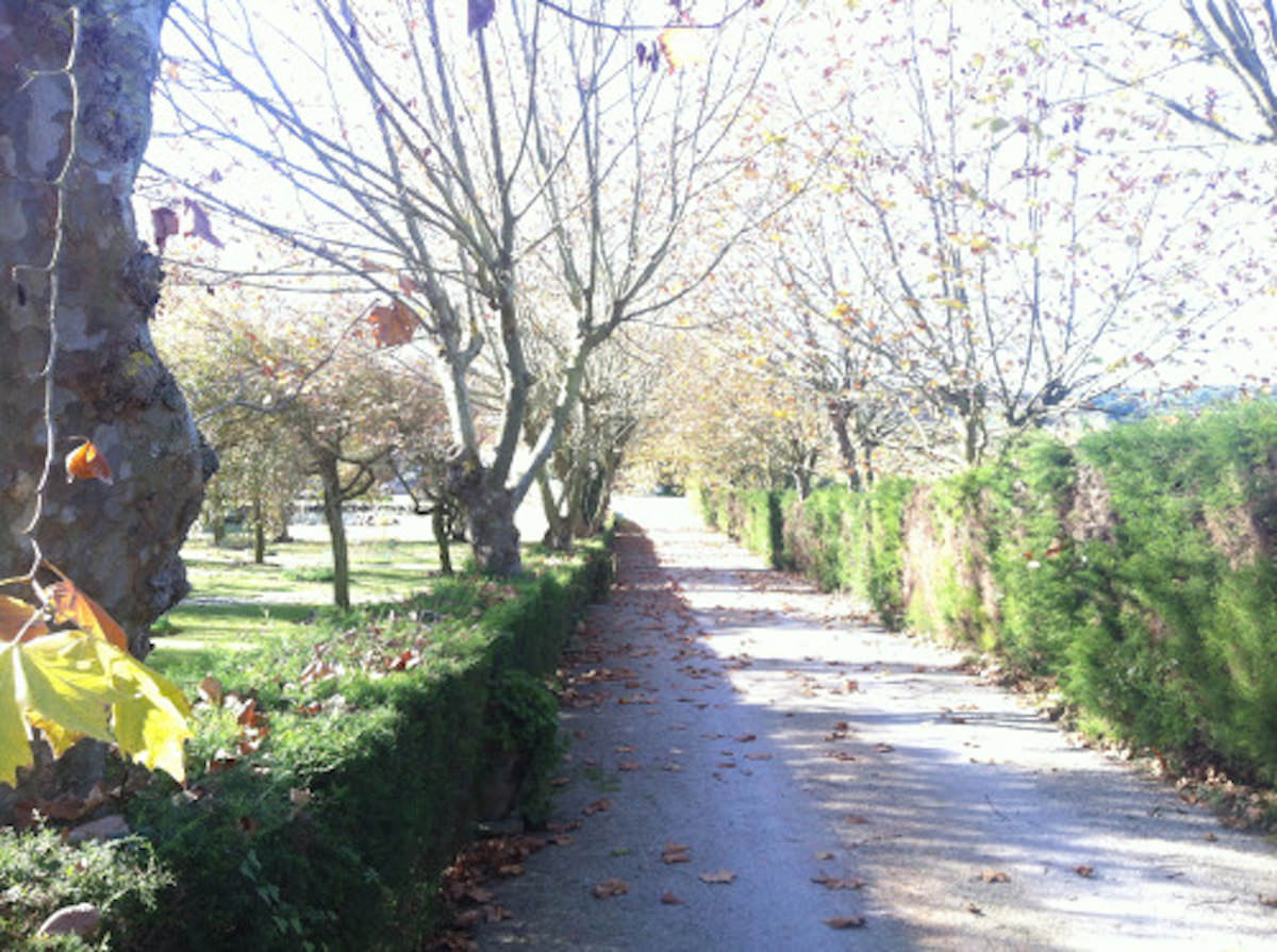 Mansão estilo Quinta muito perto da Vila de  Óbidos