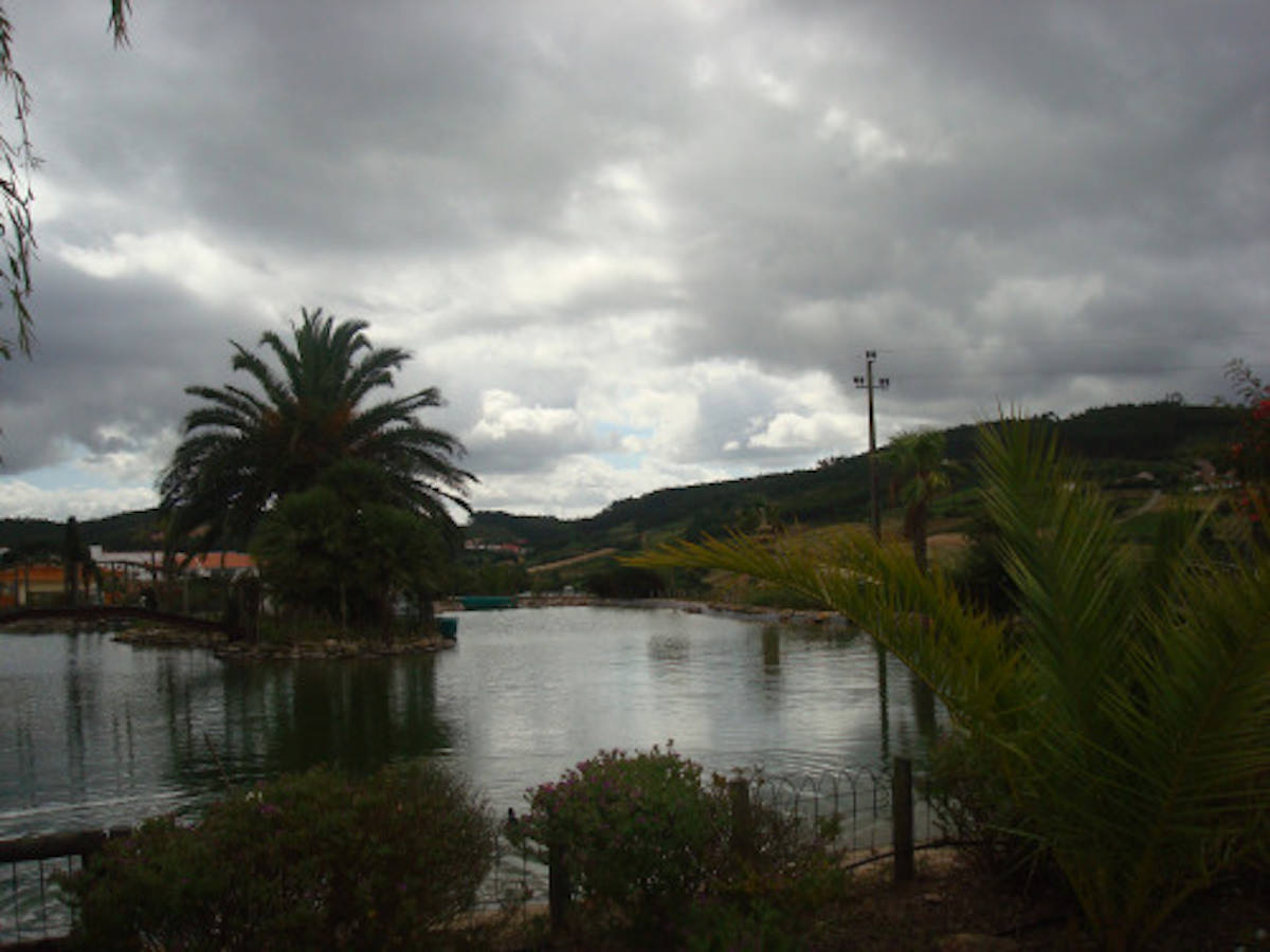 Extraordinária Quinta para venda Caldas da Rainha