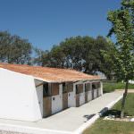 Fantástica Quinta Equestre – Alentejo