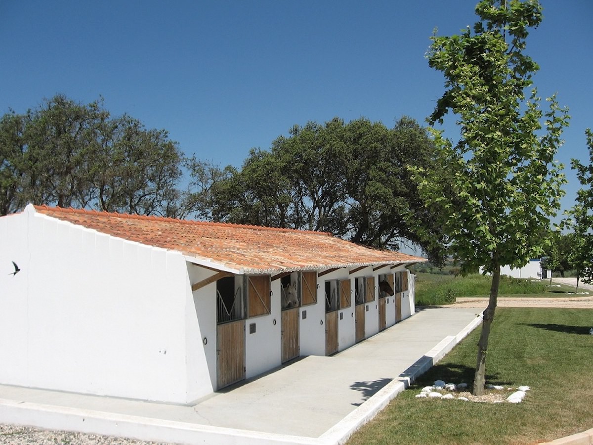 Fantástica Quinta Equestre – Alentejo