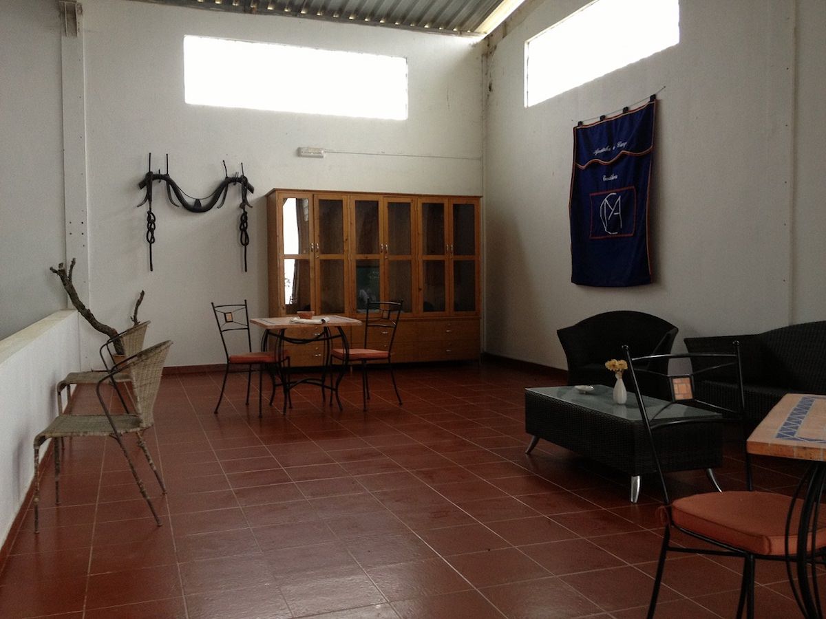 Fantástica Quinta Equestre – Alentejo